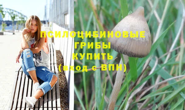 синтетический гашиш Нефтегорск